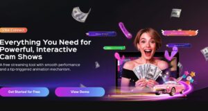 Wie Vibe-Connect die Creator Economy verändern will